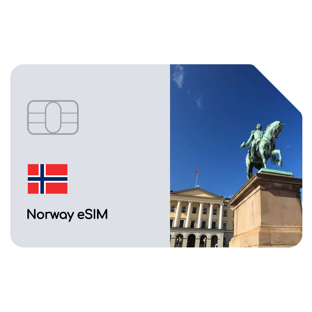 ノルウェーeSIMデイリー